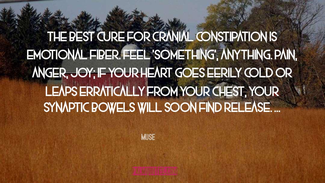 Constipation quotes by Muse