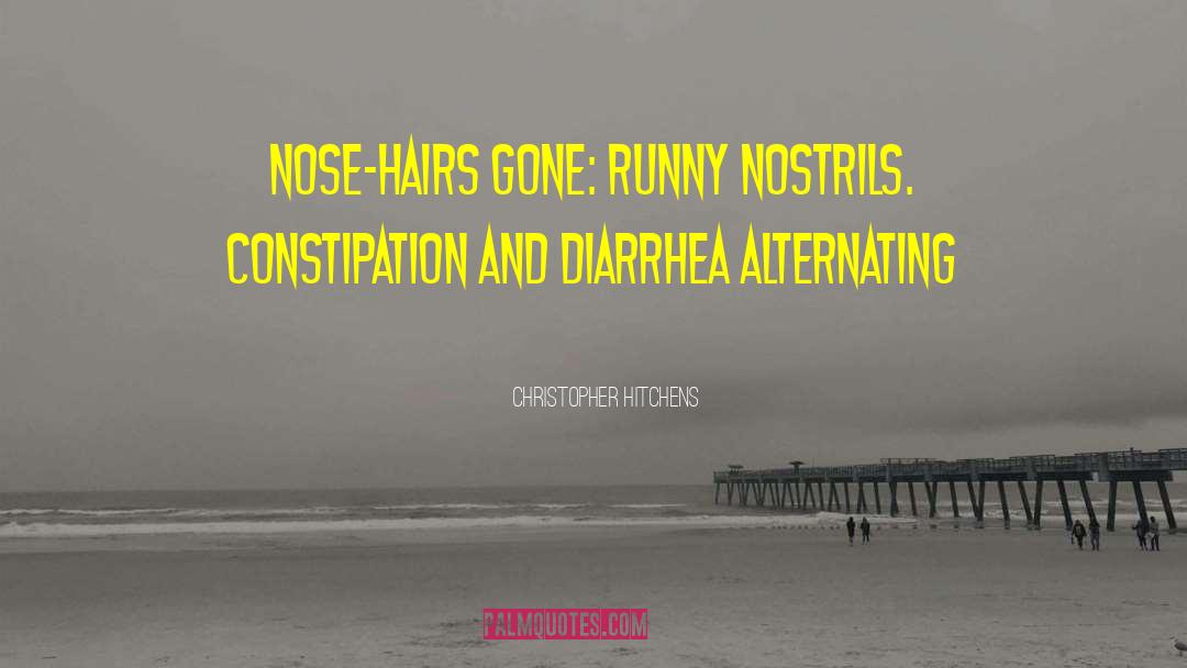 Constipation quotes by Christopher Hitchens