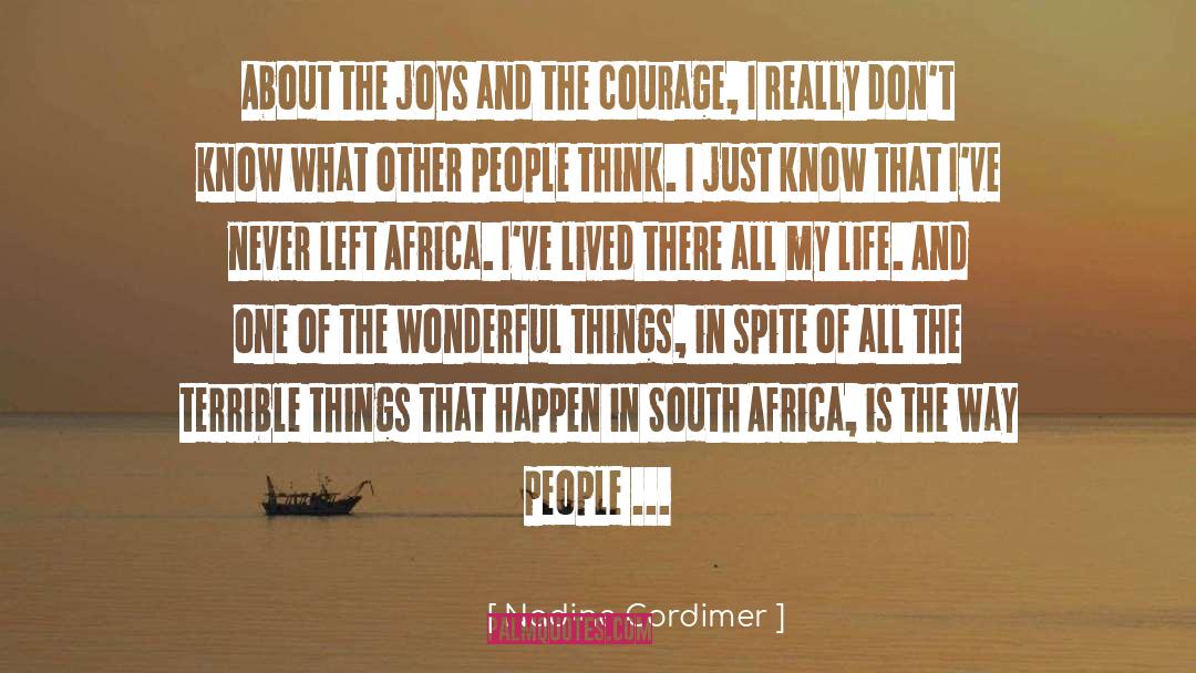 Constitution Of South Africa quotes by Nadine Gordimer