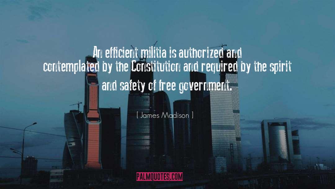 Constitution quotes by James Madison