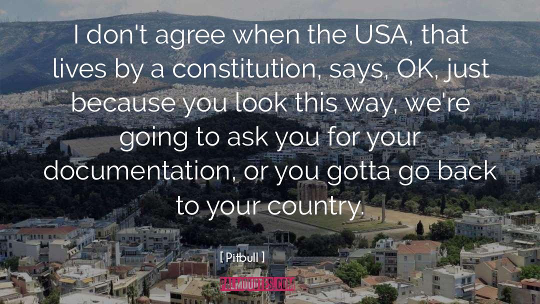 Constitution quotes by Pitbull