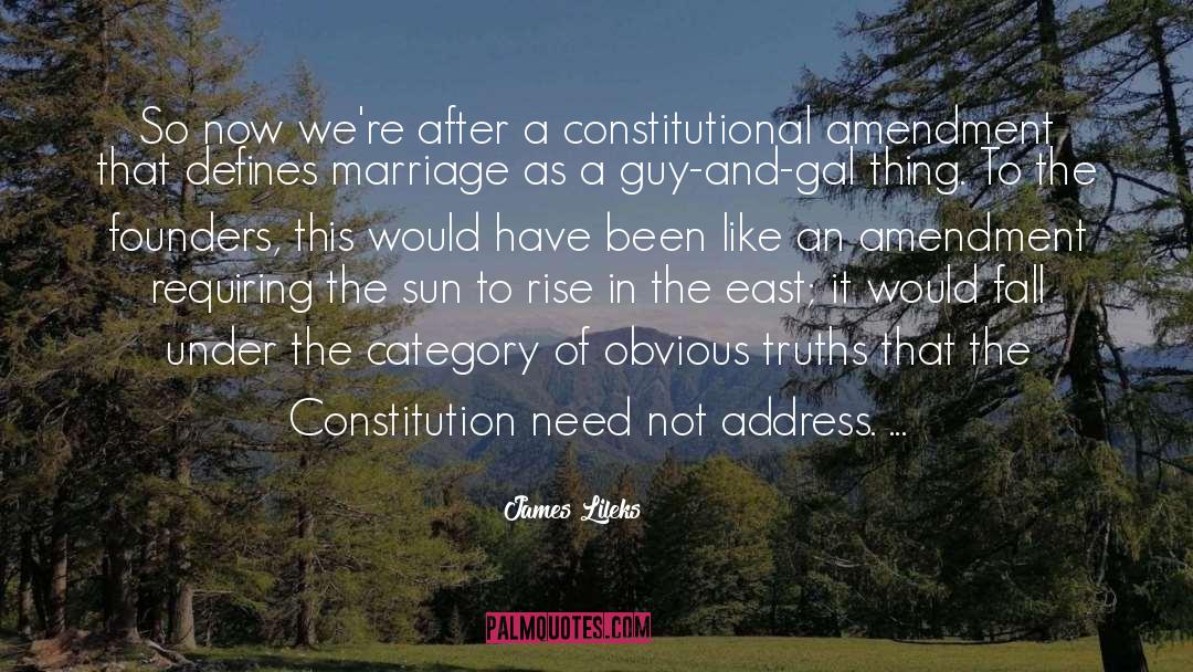 Constitutional Amendments quotes by James Lileks