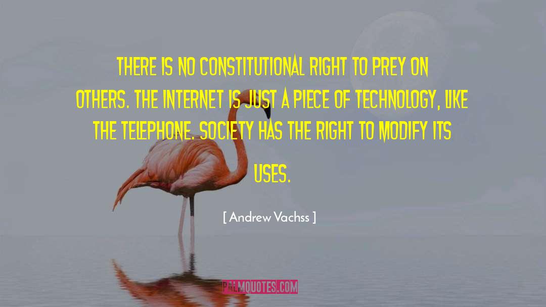 Constitutional Amendments quotes by Andrew Vachss