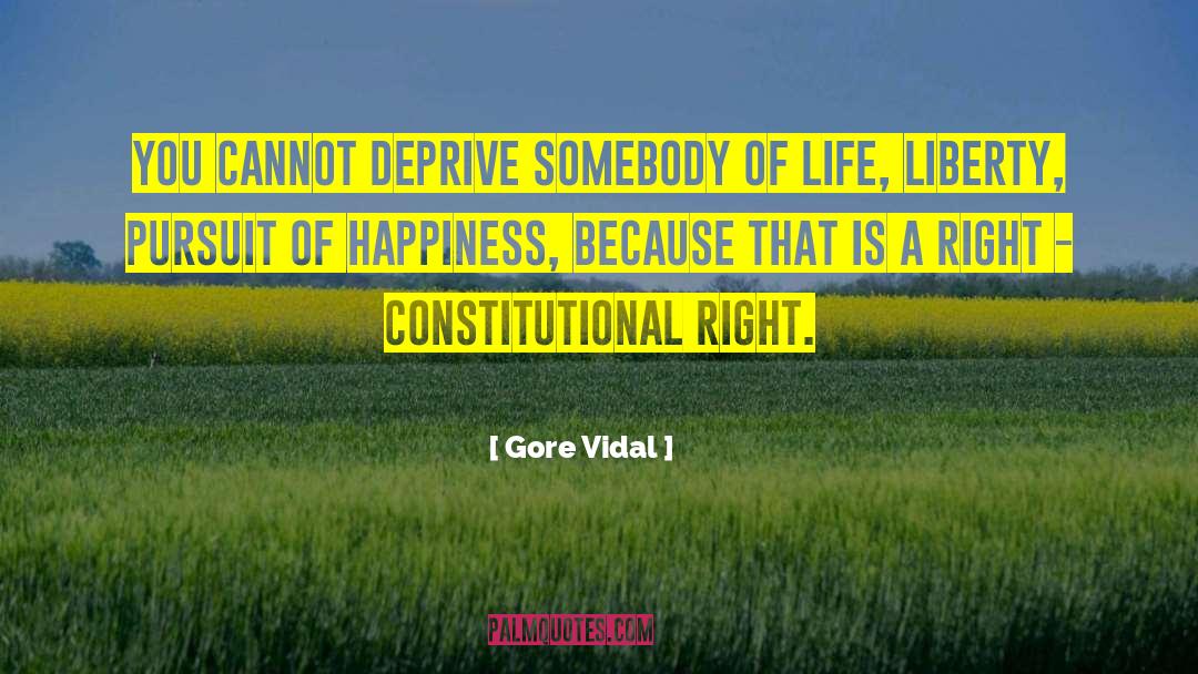 Constitutional Convention quotes by Gore Vidal