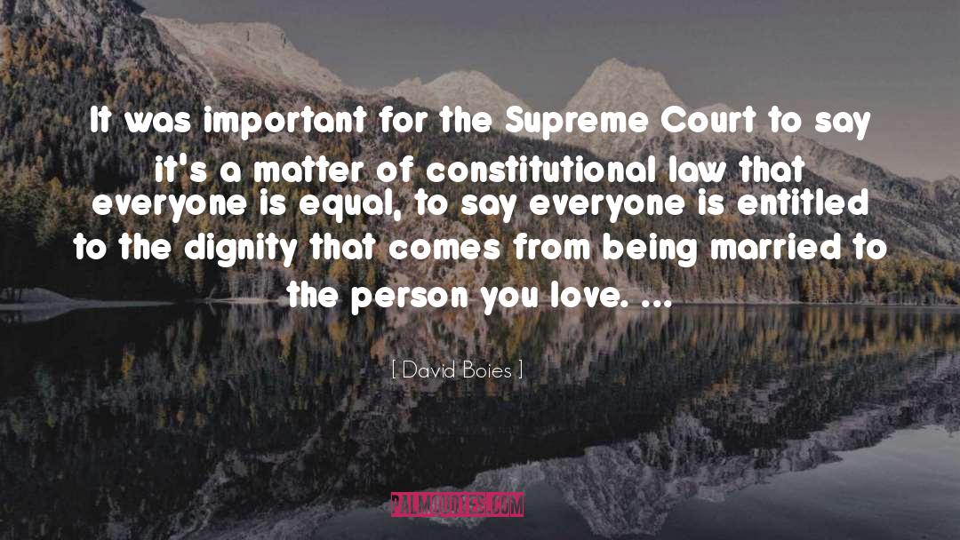 Constitutional Law quotes by David Boies