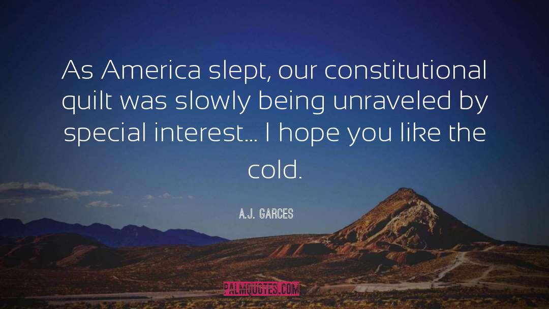 Constitutional quotes by A.J. Garces