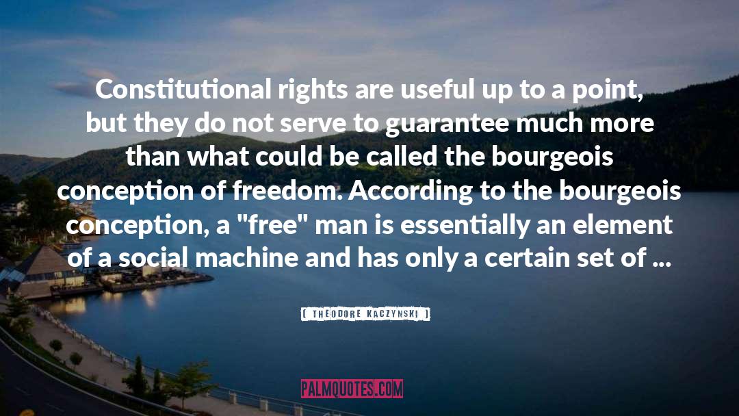 Constitutional Rights quotes by Theodore Kaczynski