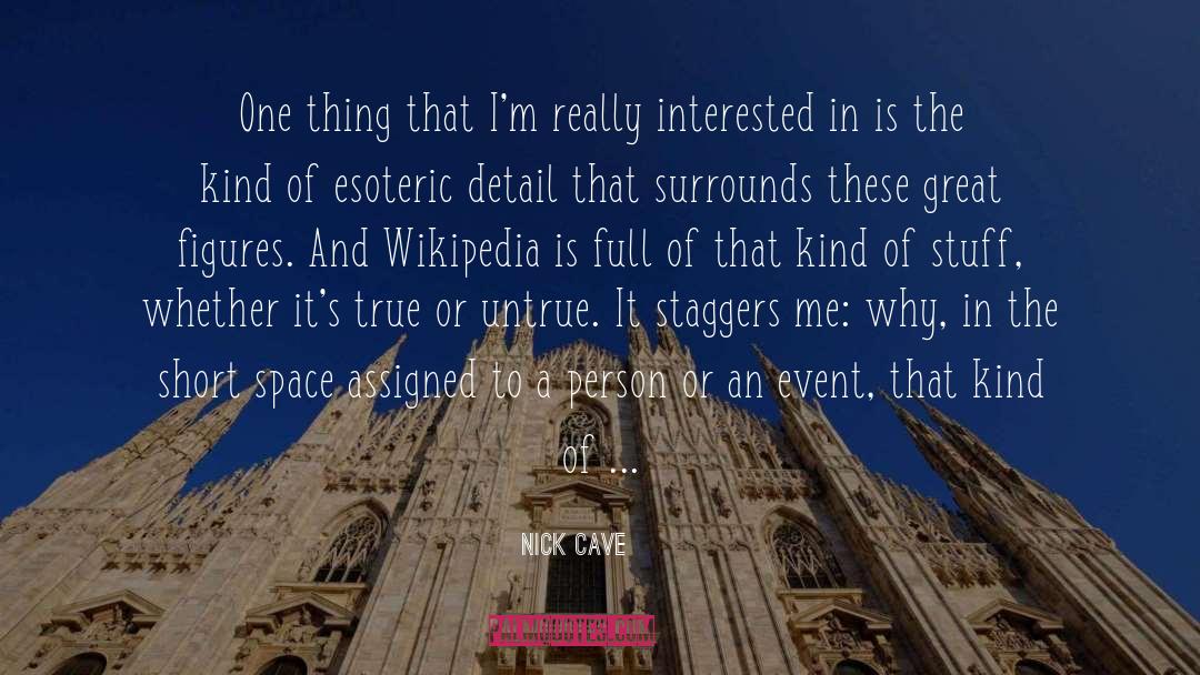 Constitutionalists Wikipedia quotes by Nick Cave