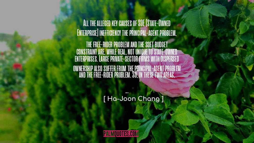 Constraint quotes by Ha-Joon Chang