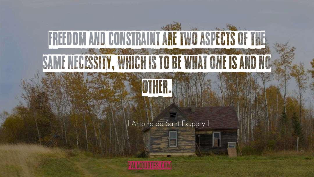 Constraint quotes by Antoine De Saint Exupery