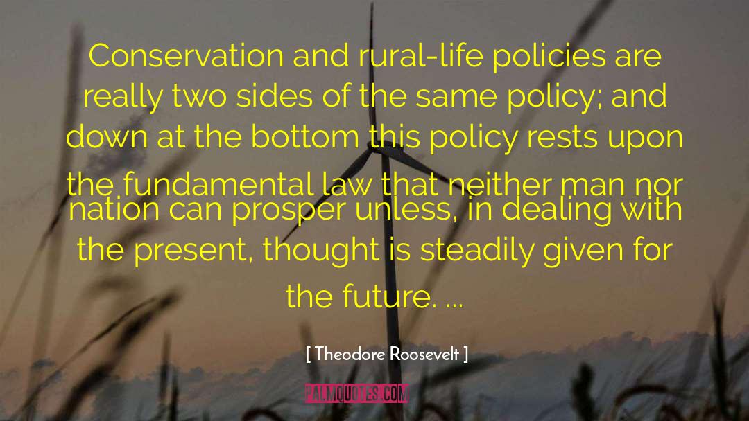 Constructive Policy quotes by Theodore Roosevelt