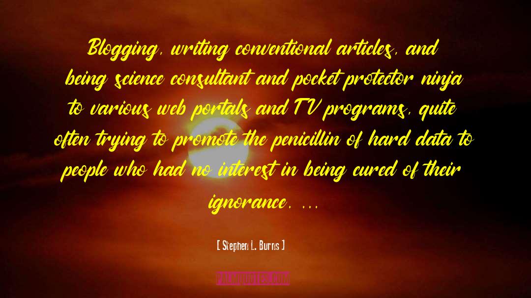 Consultant quotes by Stephen L. Burns