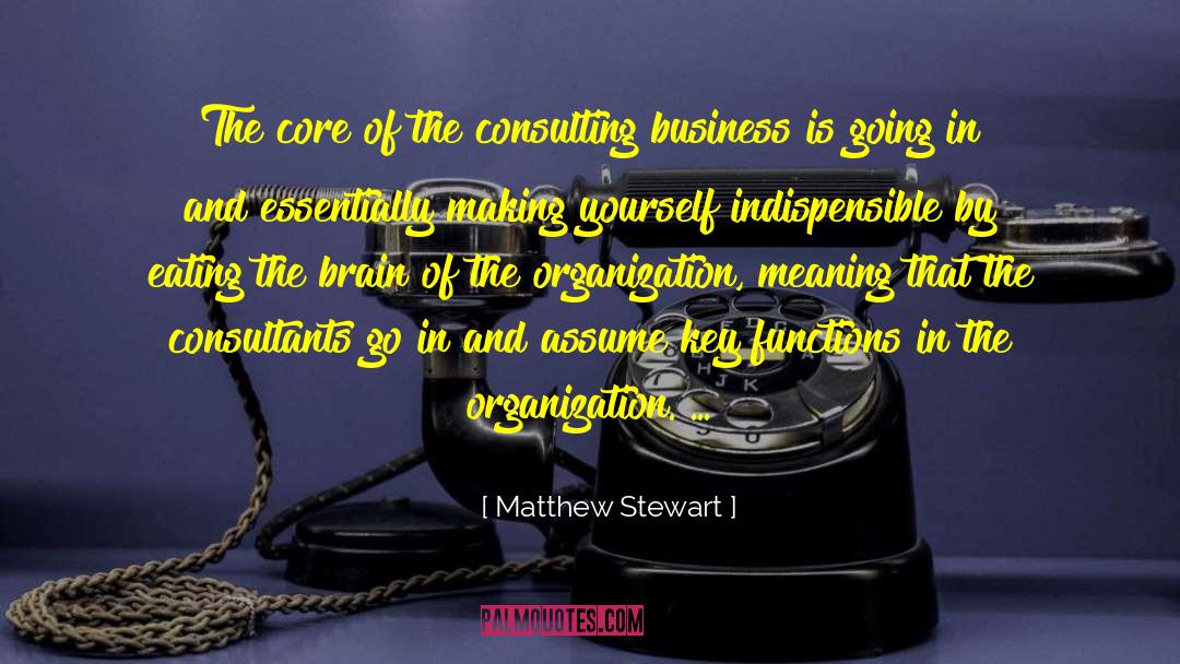 Consulting quotes by Matthew Stewart