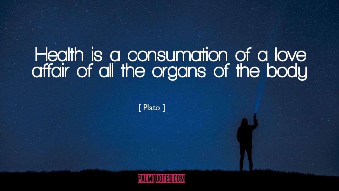 Consumation quotes by Plato