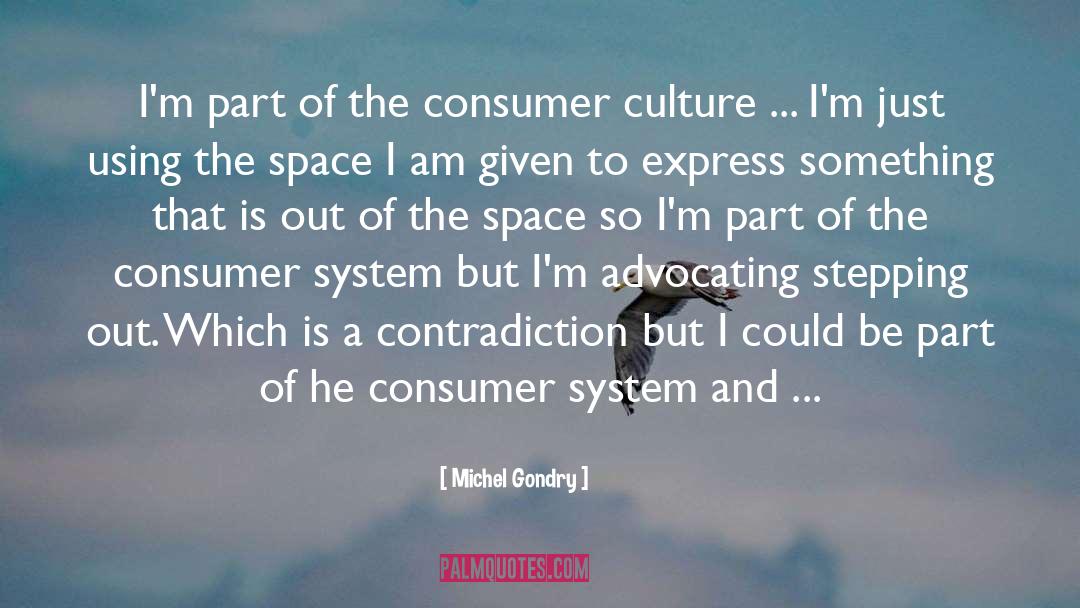 Consumer Culture quotes by Michel Gondry