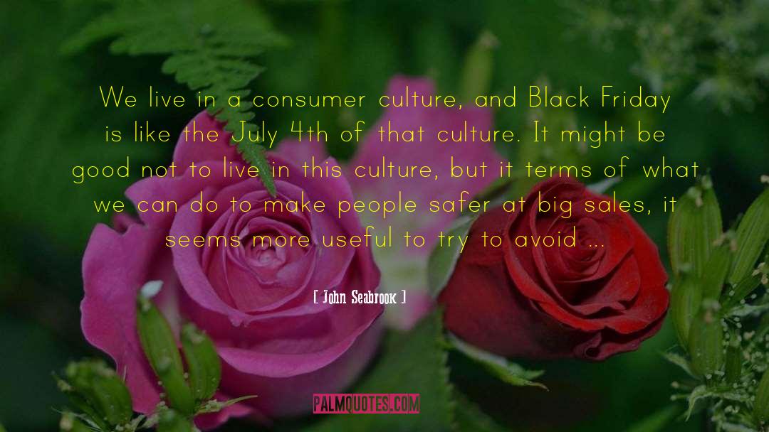 Consumer Culture quotes by John Seabrook