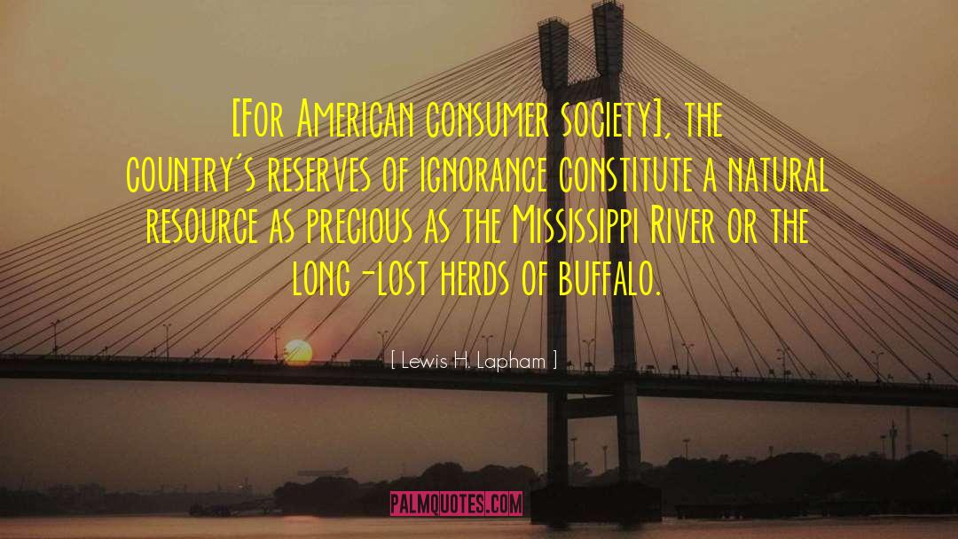 Consumer Society quotes by Lewis H. Lapham