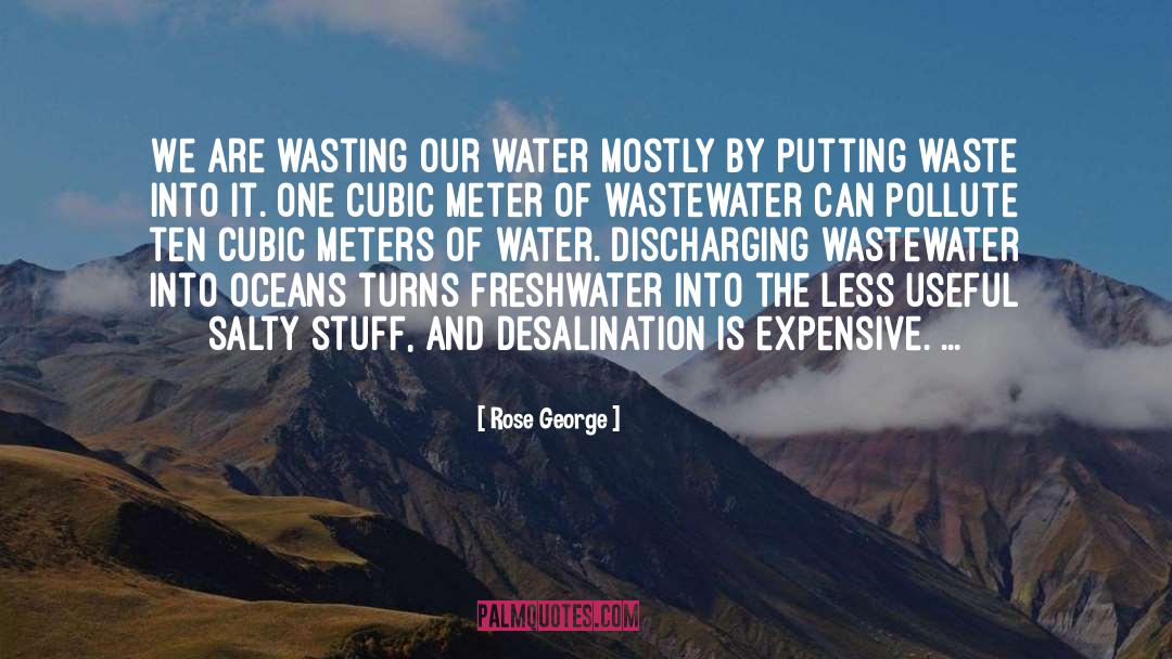 Consumer Waste quotes by Rose George