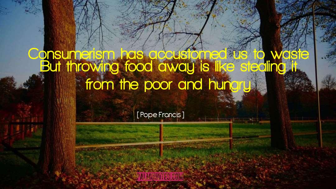 Consumerism quotes by Pope Francis