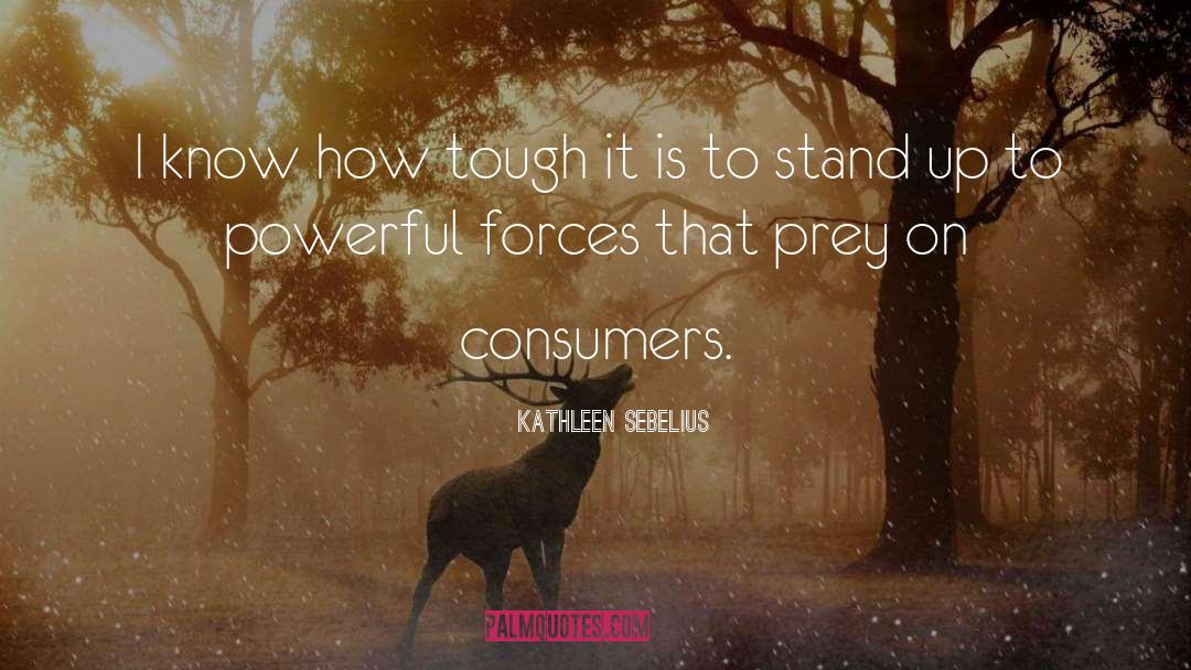 Consumers quotes by Kathleen Sebelius