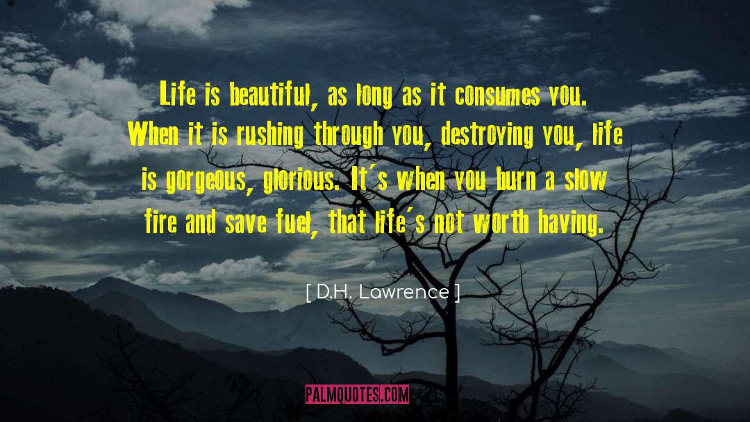 Consumes quotes by D.H. Lawrence