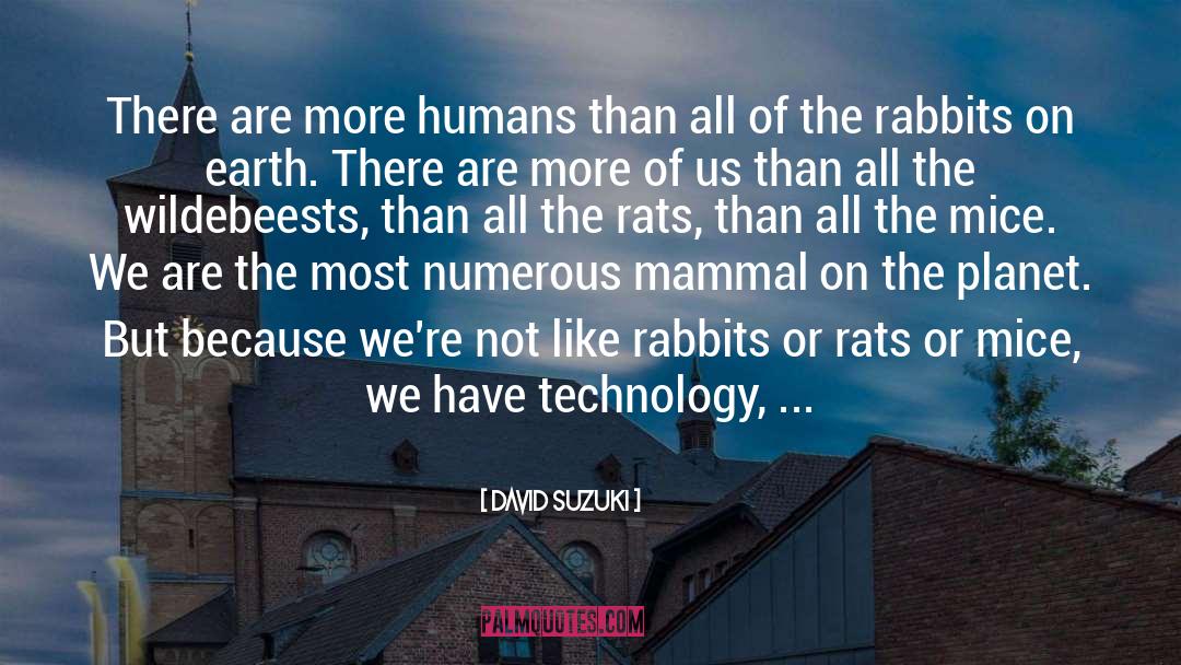 Consumptive quotes by David Suzuki