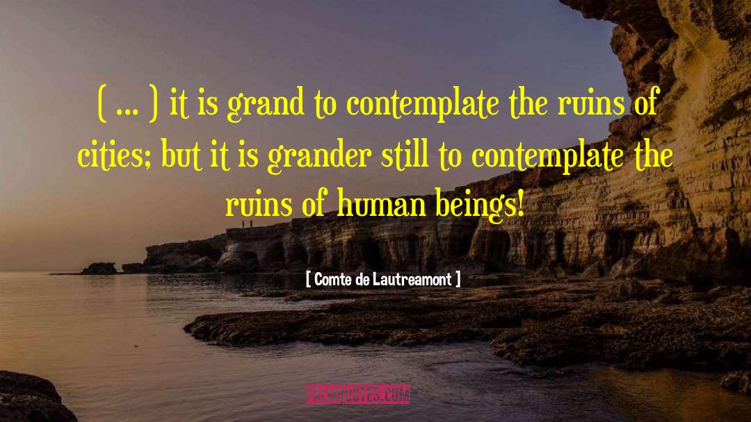 Contemplate Def quotes by Comte De Lautreamont