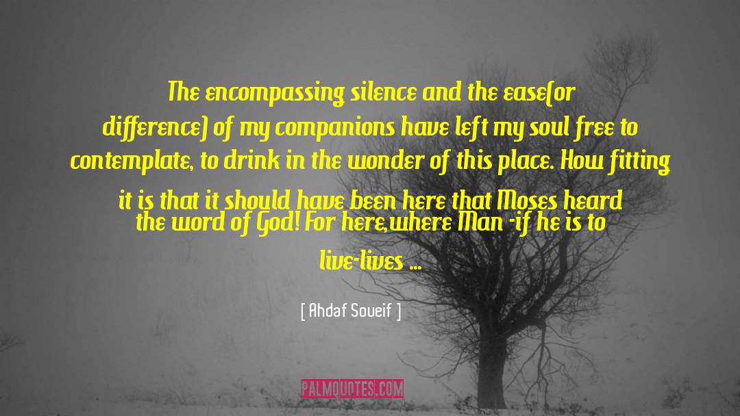 Contemplate quotes by Ahdaf Soueif