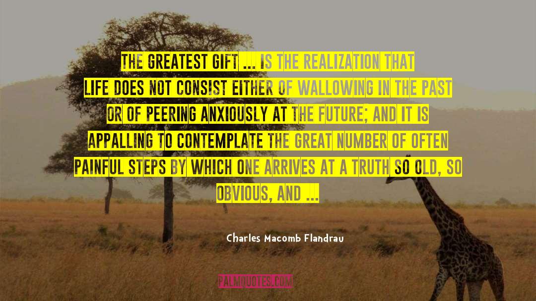 Contemplate quotes by Charles Macomb Flandrau