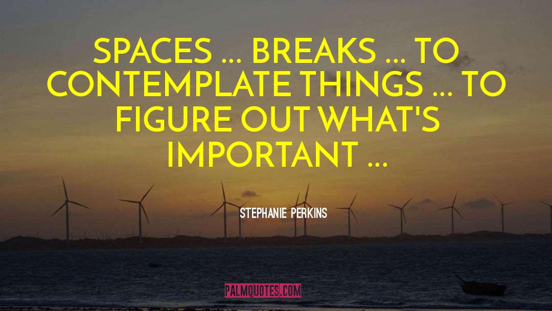 Contemplate quotes by Stephanie Perkins