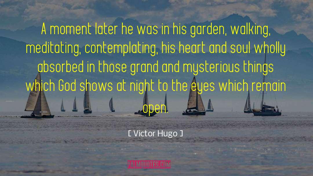 Contemplating quotes by Victor Hugo