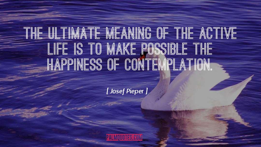 Contemplation quotes by Josef Pieper