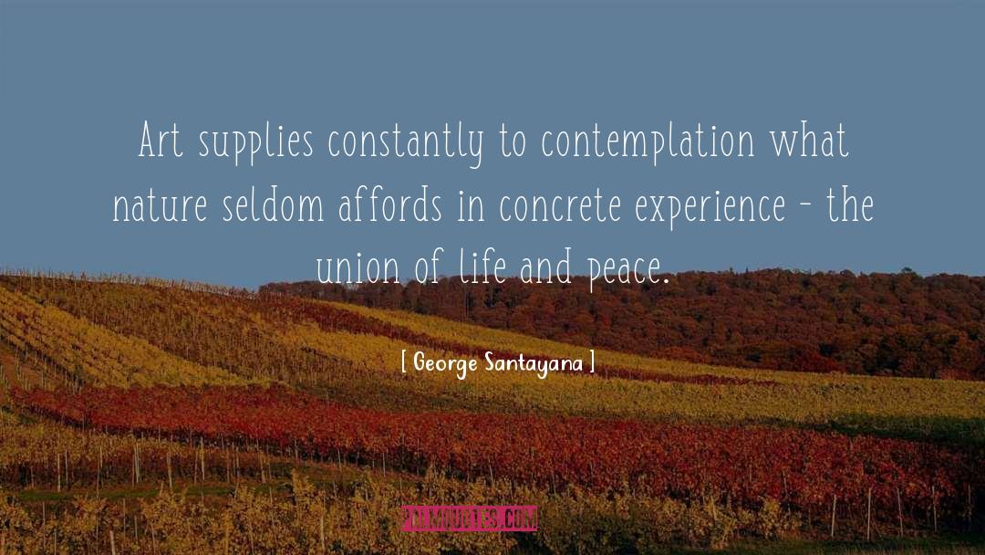 Contemplation quotes by George Santayana