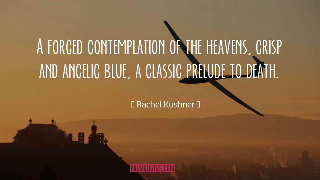Contemplation quotes by Rachel Kushner