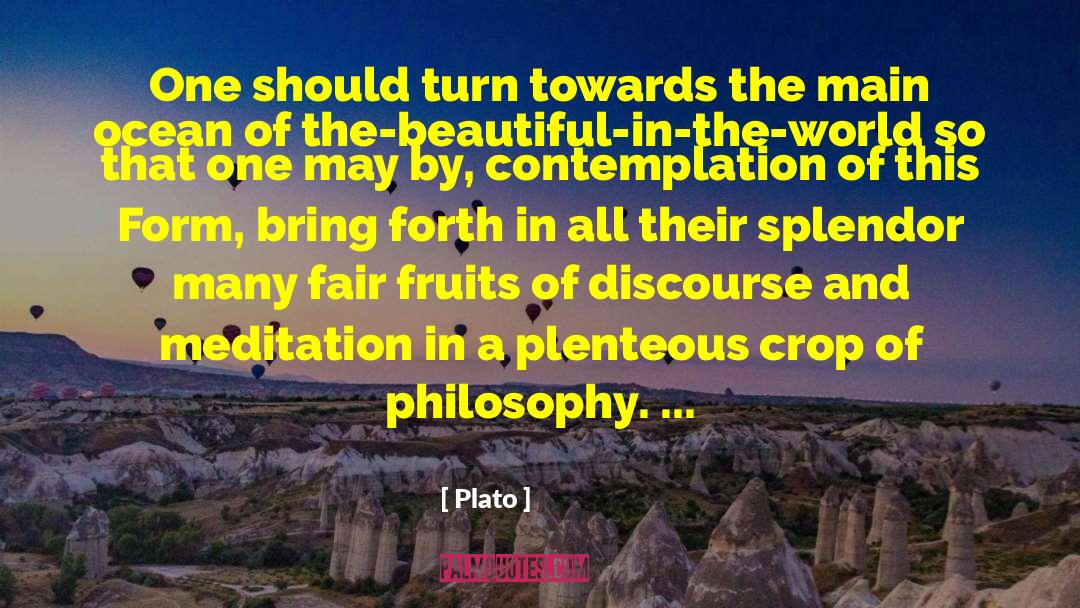 Contemplation quotes by Plato