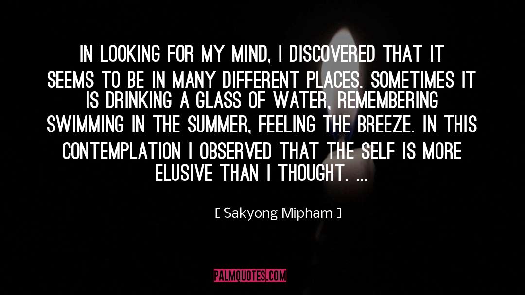 Contemplation quotes by Sakyong Mipham