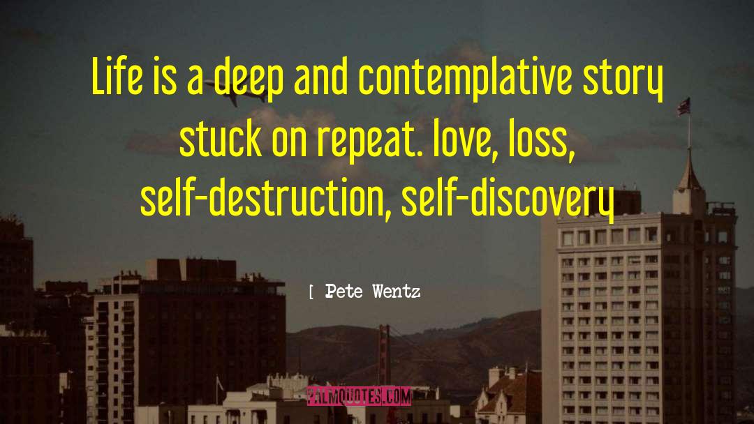 Contemplative Spirituality quotes by Pete Wentz