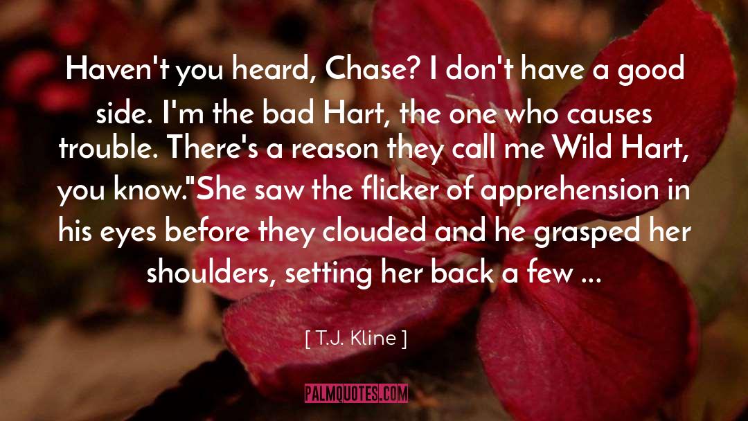 Contemporary Adult Romance quotes by T.J. Kline