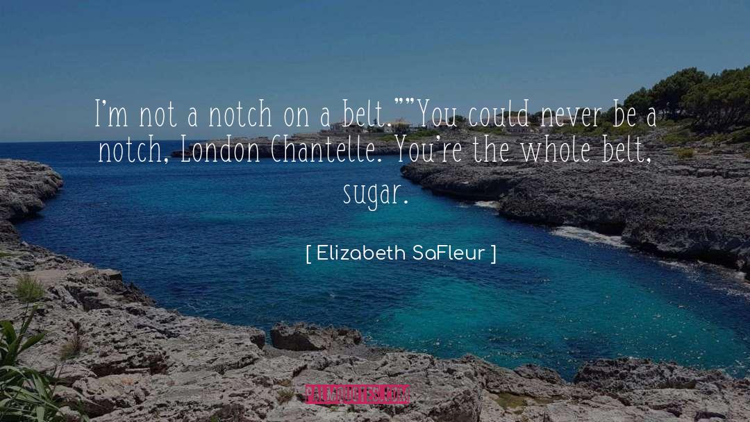 Contemporary Erotic Romance quotes by Elizabeth SaFleur