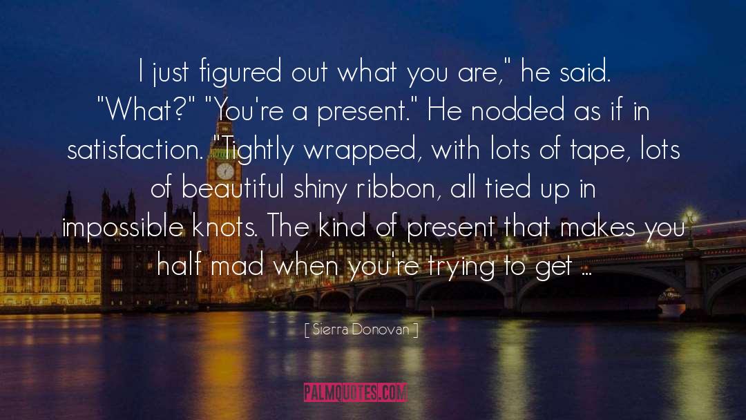 Contemporary Holiday Romance quotes by Sierra Donovan