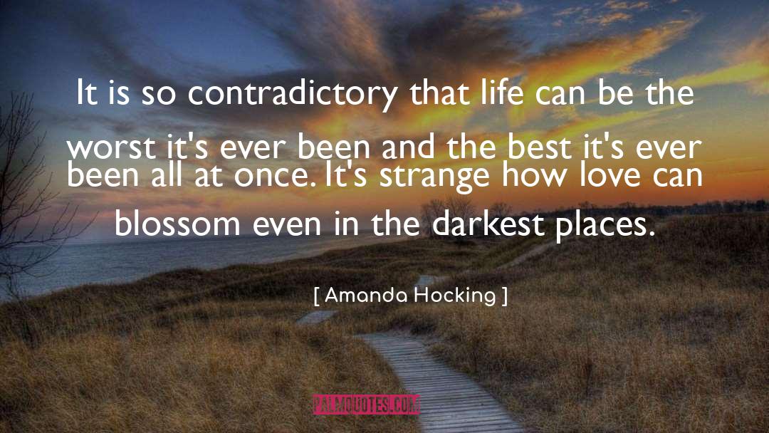 Contemporary Life quotes by Amanda Hocking