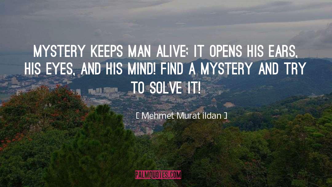 Contemporary Turkish Literature quotes by Mehmet Murat Ildan