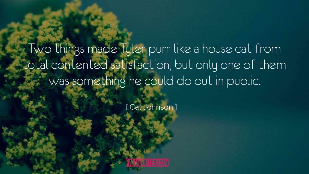 Contemporary Western Romance quotes by Cat Johnson