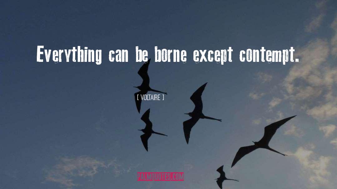 Contempt quotes by Voltaire