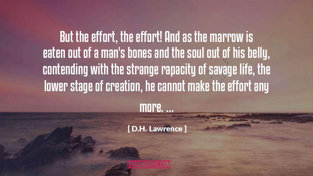 Contending quotes by D.H. Lawrence