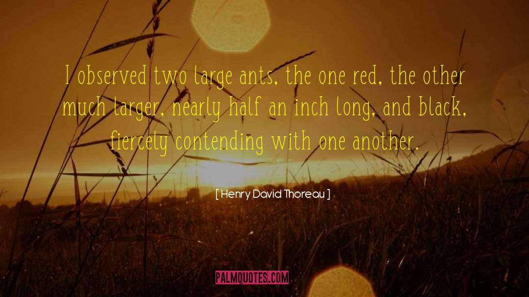 Contending quotes by Henry David Thoreau