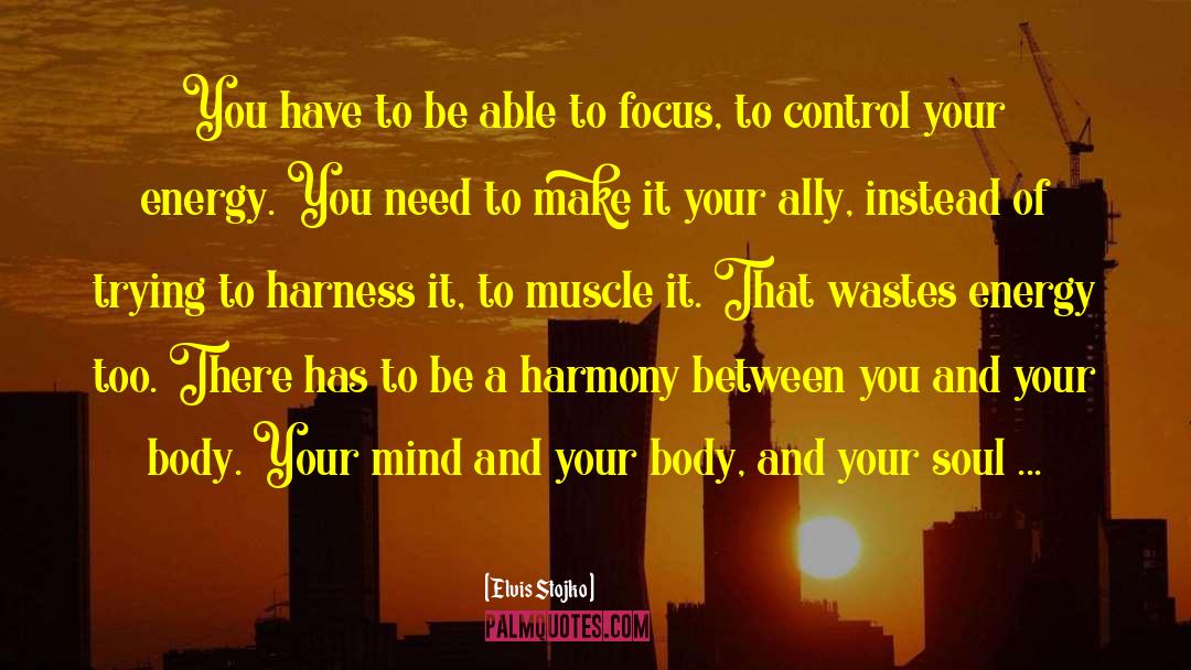 Contentment Mind Soul Control quotes by Elvis Stojko