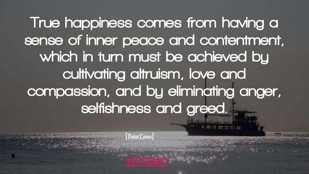 Contentment quotes by Dalai Lama