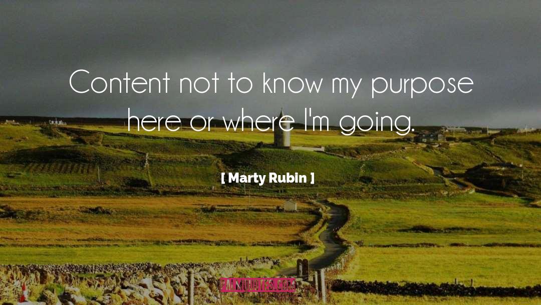 Contentment quotes by Marty Rubin