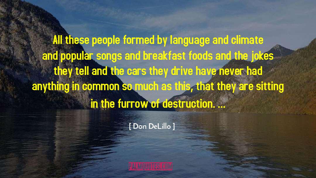 Contessa Foods quotes by Don DeLillo